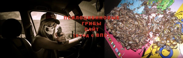 кокс Алексин