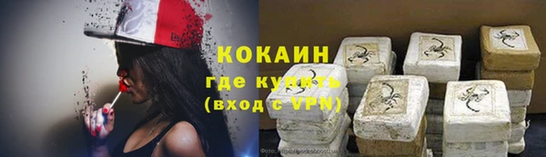 кокс Алексин